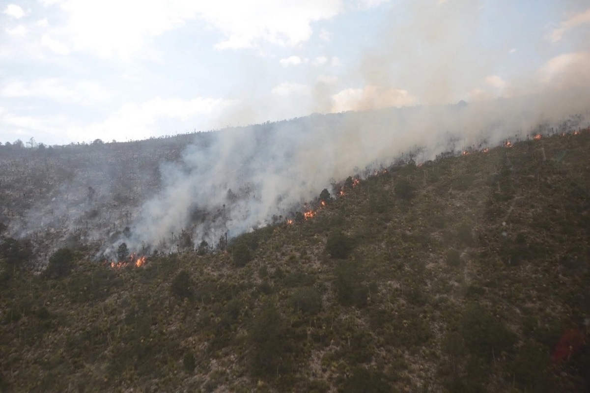 Primeros incendios de temporada ya consumieron 45 hectáreas de bosque en Saltillo