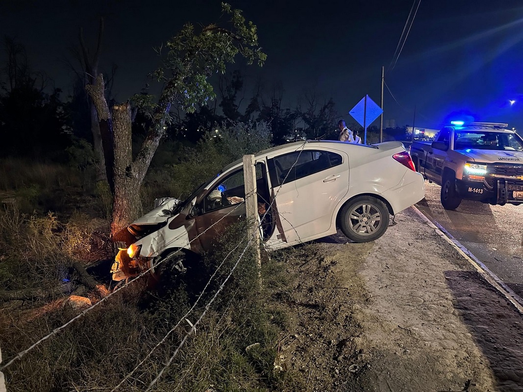 Se le atraviesa un árbol a inexperta conductora