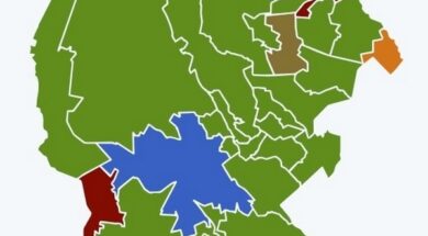 GANO-Copiar