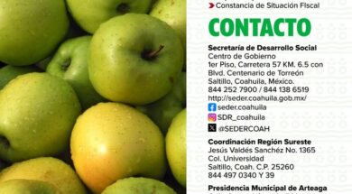 IMPLEMENTA