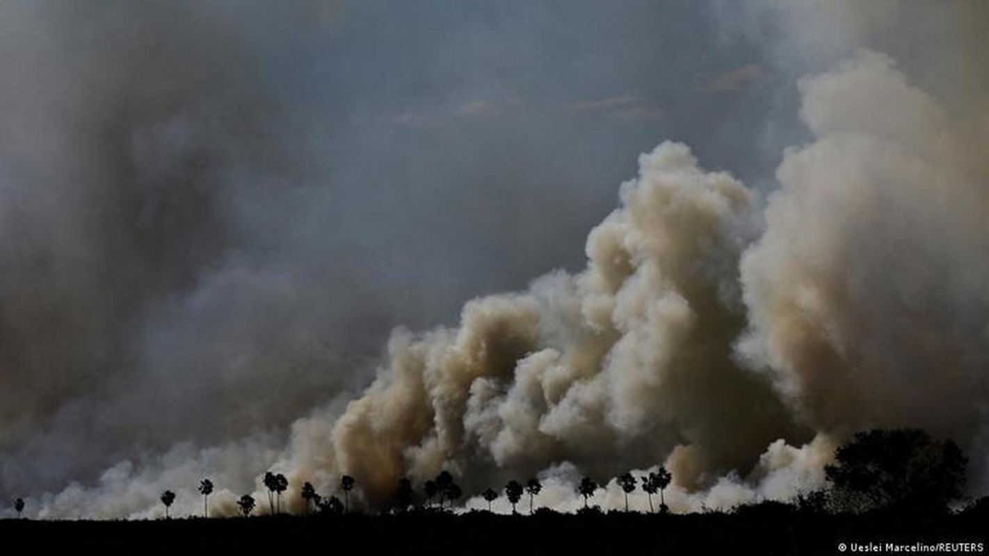 Estado de emergencia por incendios en el Pantanal brasileño