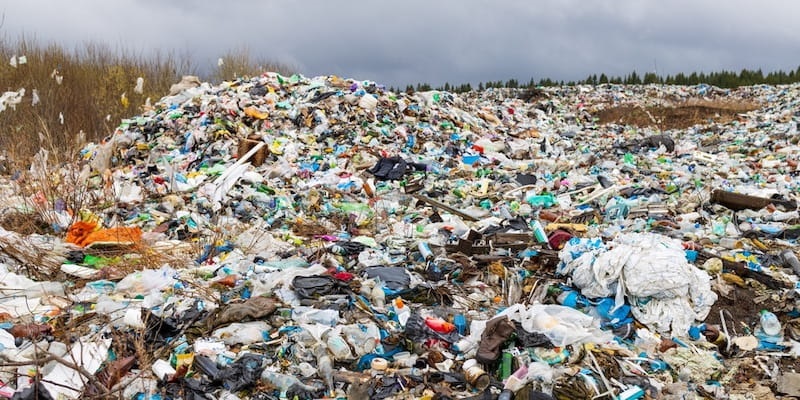 Llaman a sustentar las quejas contra quien deteriore o contamine el medio ambiente