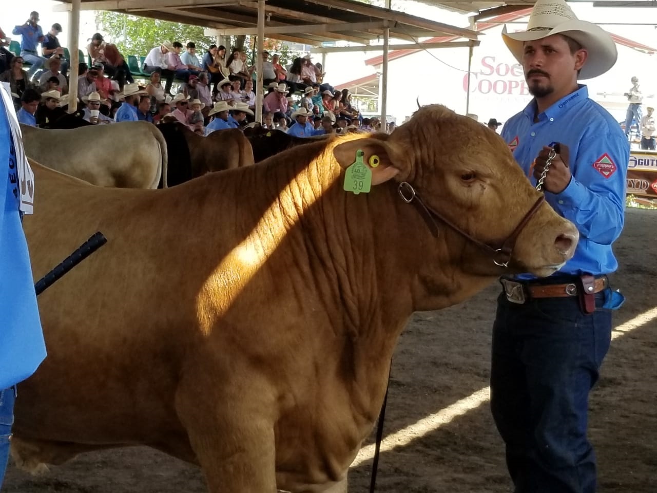 Más de 2.5 MDP genera concurso del Becerro Gordo