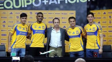 TIGRES