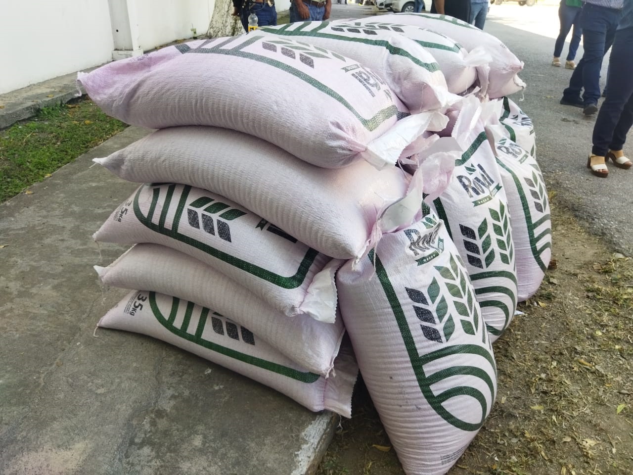 32MDP destinó el Estado para adquisición de semilla de sorgo y avena