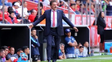 LA VOLPE