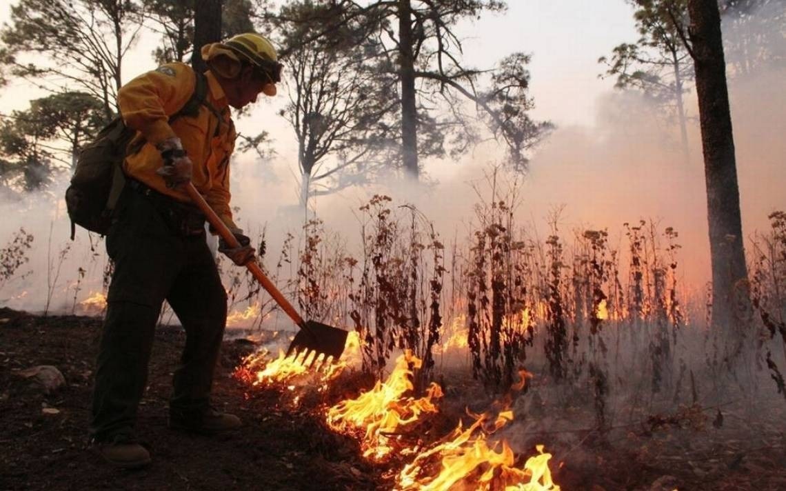 2024: EL AÑO CON MÁS INCENDIOS FORESTALES EN MÉXICO.