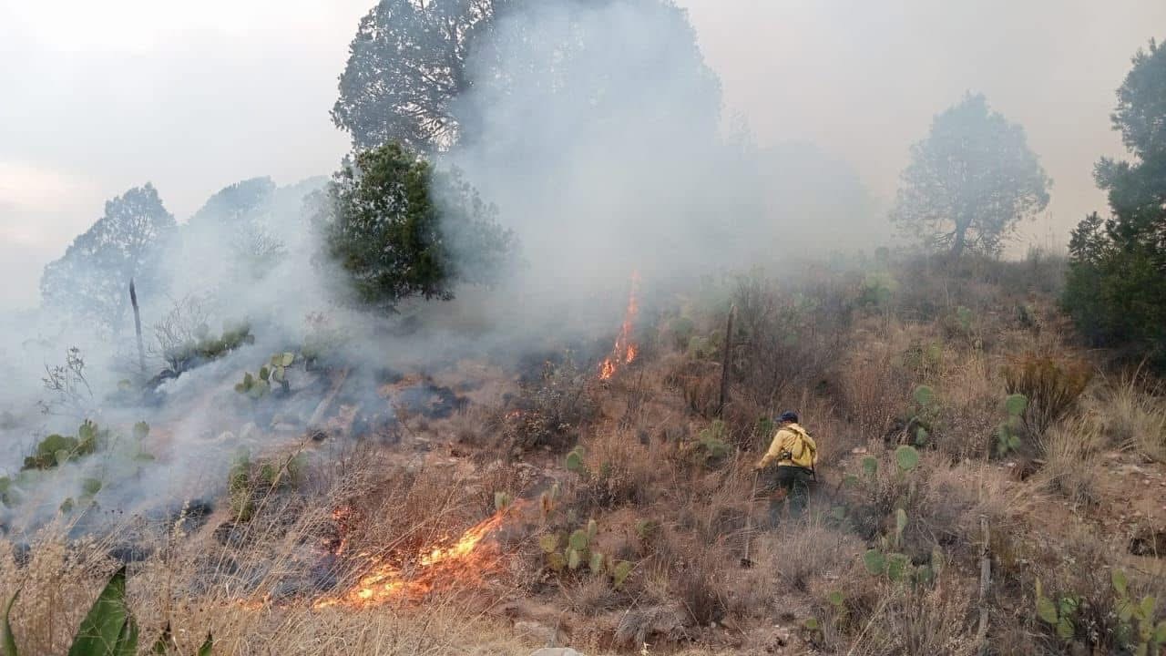 Avanza el combate a incendio forestal en San Juan de los Dolores, Arteaga