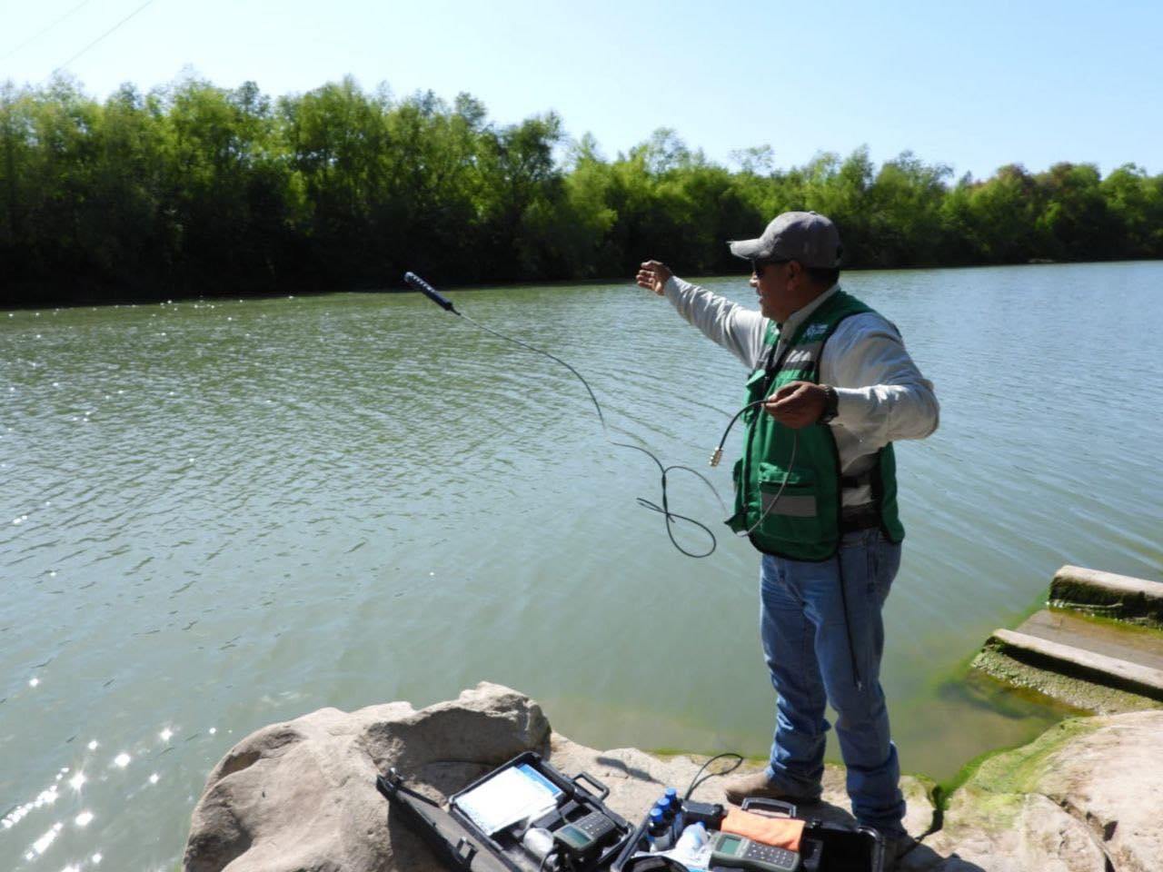 Monitorean calidad del agua y biodiversidad en el río Sabinas