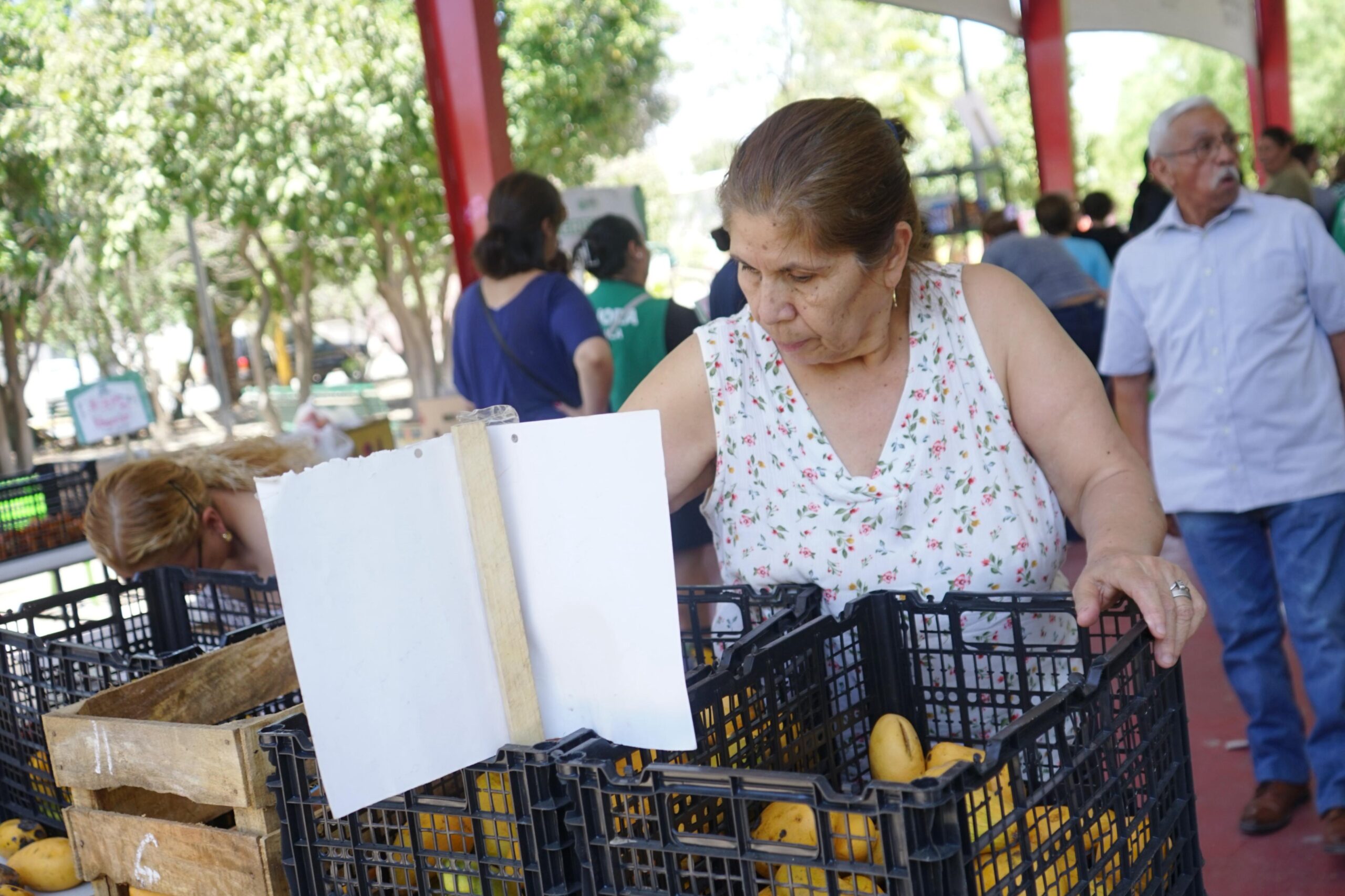 MERCADITO MEJORA CONTINÚA APOYANDO A LA ECONOMÍA DE LAS FAMILIAS TORREONENSES