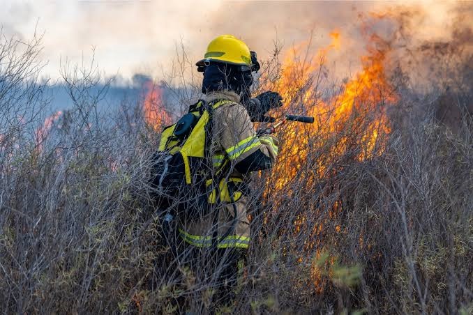 Vecinos denuncian incendios provocados por pandilleros en Los Pinos Popular