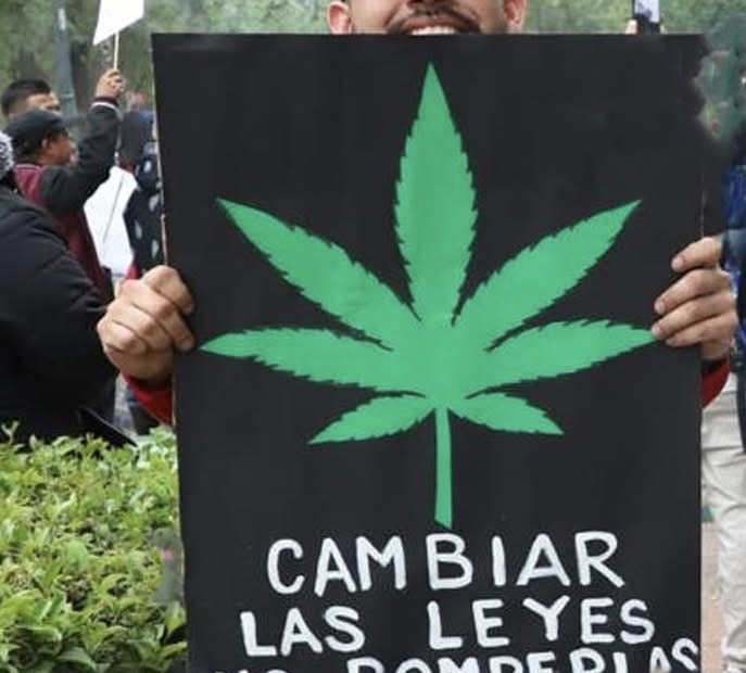 Marcha en Saltillo genera expectativa sobre la legalización de la marihuana