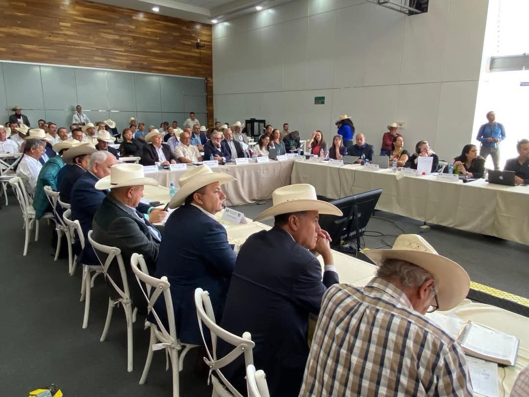 En reunión binacional de ganadería pugnan por reapertura de exportaciones