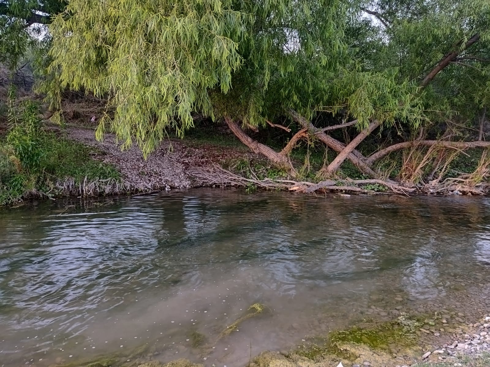 Sin agua no hay futuro: Urgente llamado a la concientización e inversiones