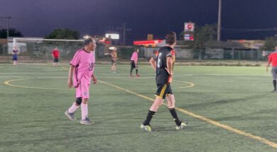 LENIS 41-280525-CACHORROS-1