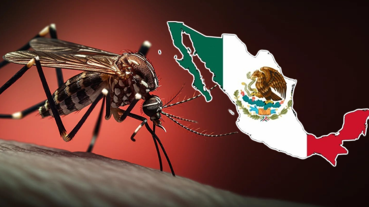 México supera los 3,500 casos de dengue; Jalisco lidera contagios