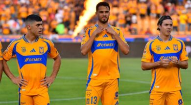 TIGRES