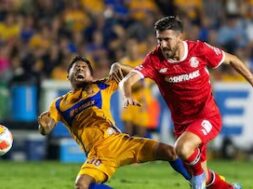 Tigres