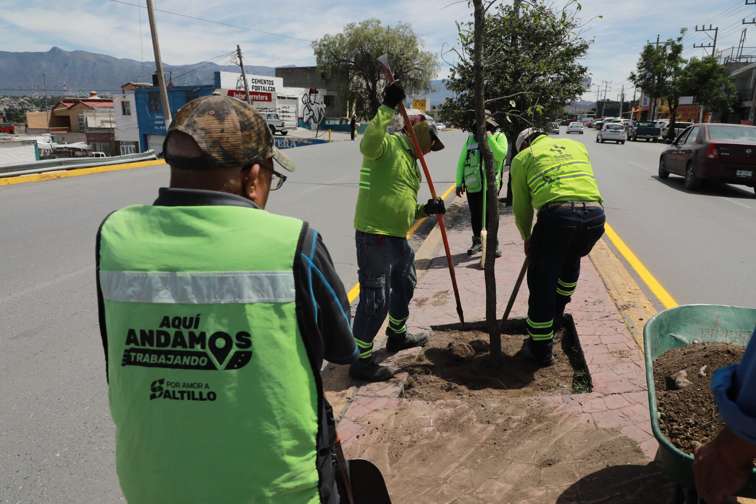 Reforesta gobierno de Saltillo calzada Francisco I Madero
