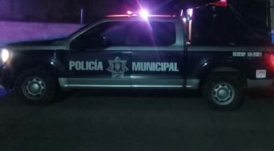 nota 15 A