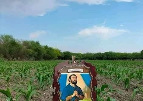 Benditas lluvias benefician a la comunidad agrícola y ganadera Venustiano Carranza 