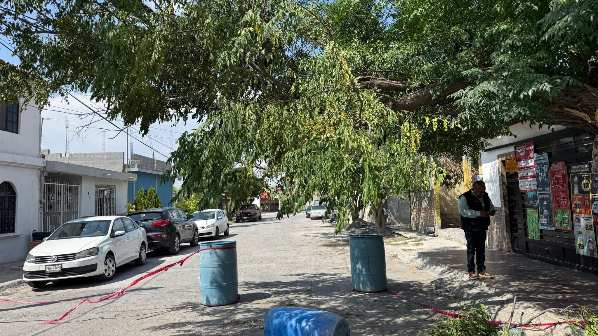 Vecinos de Tenerías solicitan apoyo para retirar rama en riesgo de caer