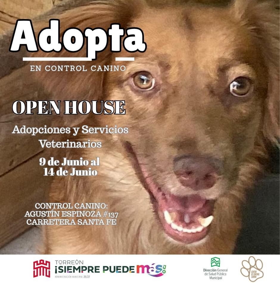 Inicia jornada de adopciones y servicios veterinarios en Control Canino