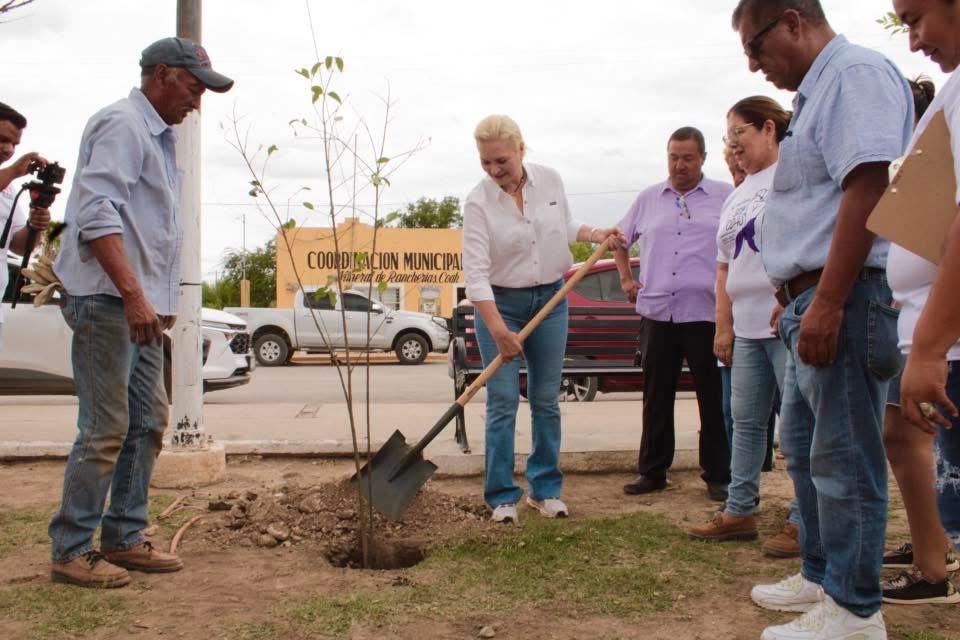 Continúa Laura Jiménez con el programa “Verde Verde Coahuila” del gobierno del Estado
