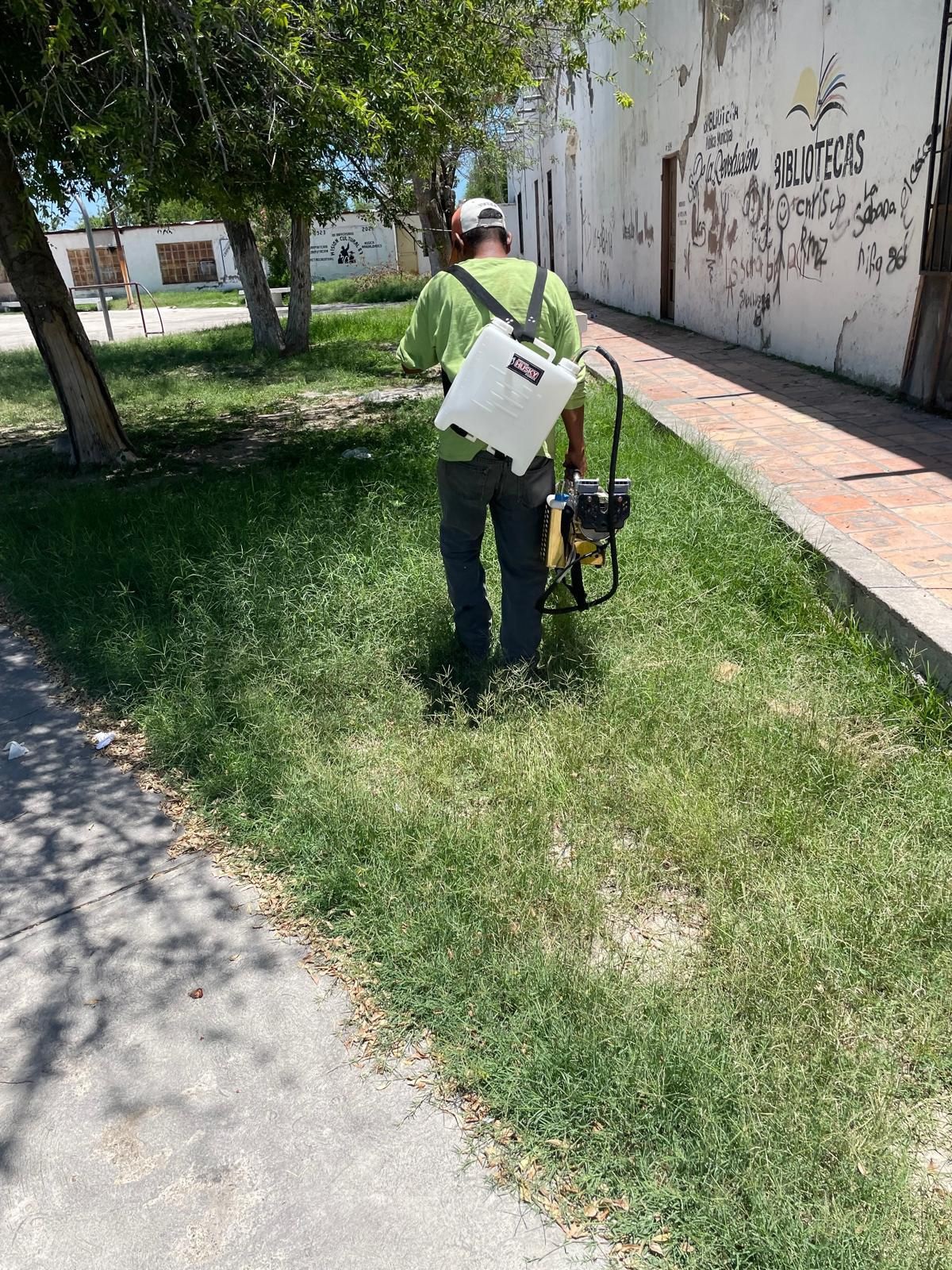 Chano Díaz protege la salud con fumigación de bibliotecas