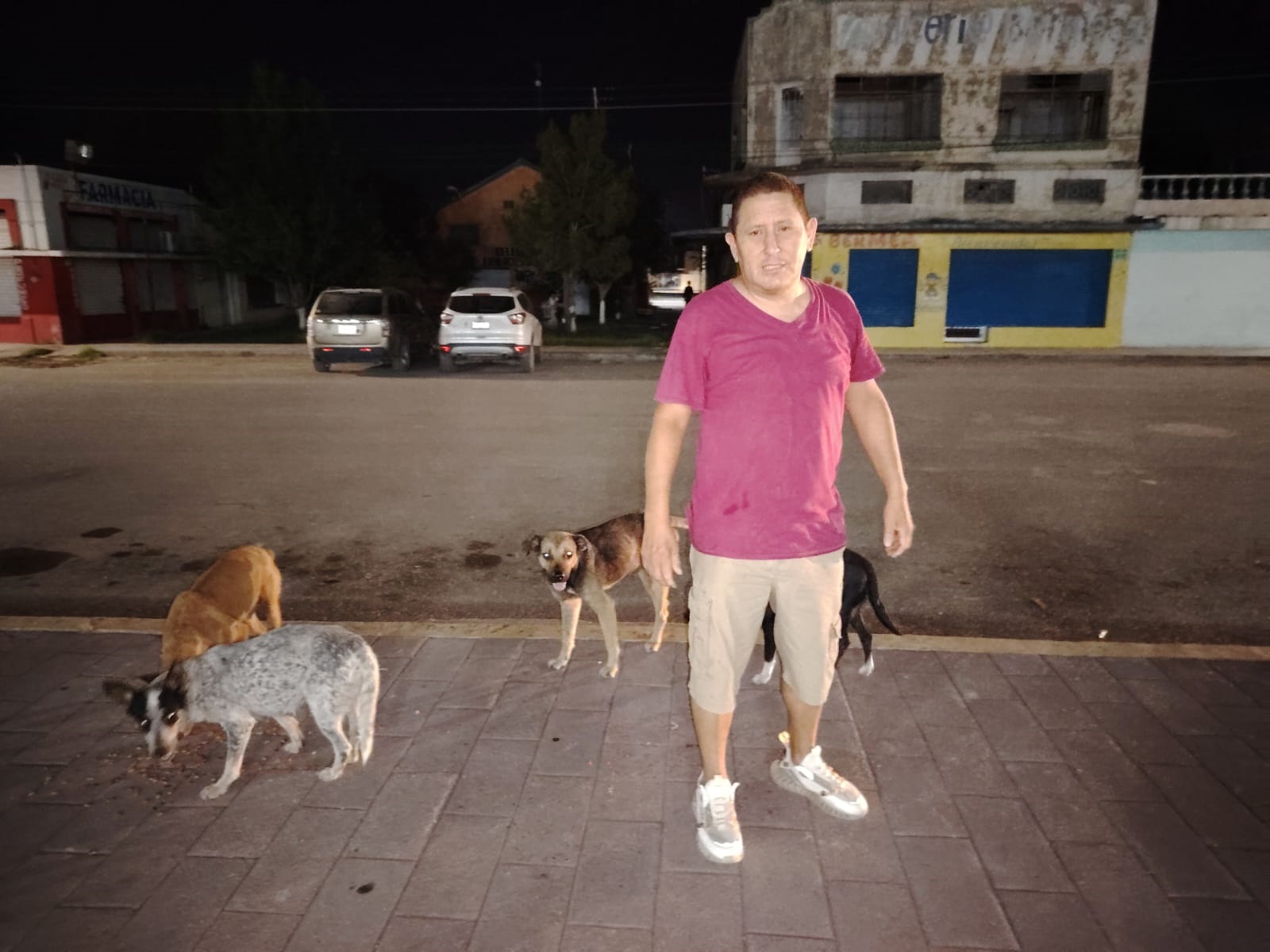 RECORRE CALLES DE PALAÚ DESDE HACE DIEZ AÑOS ALIMENTADOR DE PERROS ABANDONADOS