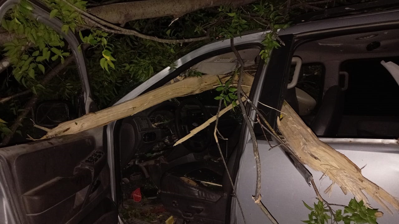 JOVEN CASI PIERDE LA VIDA AL CHOCAR CON UN ÁRBOL