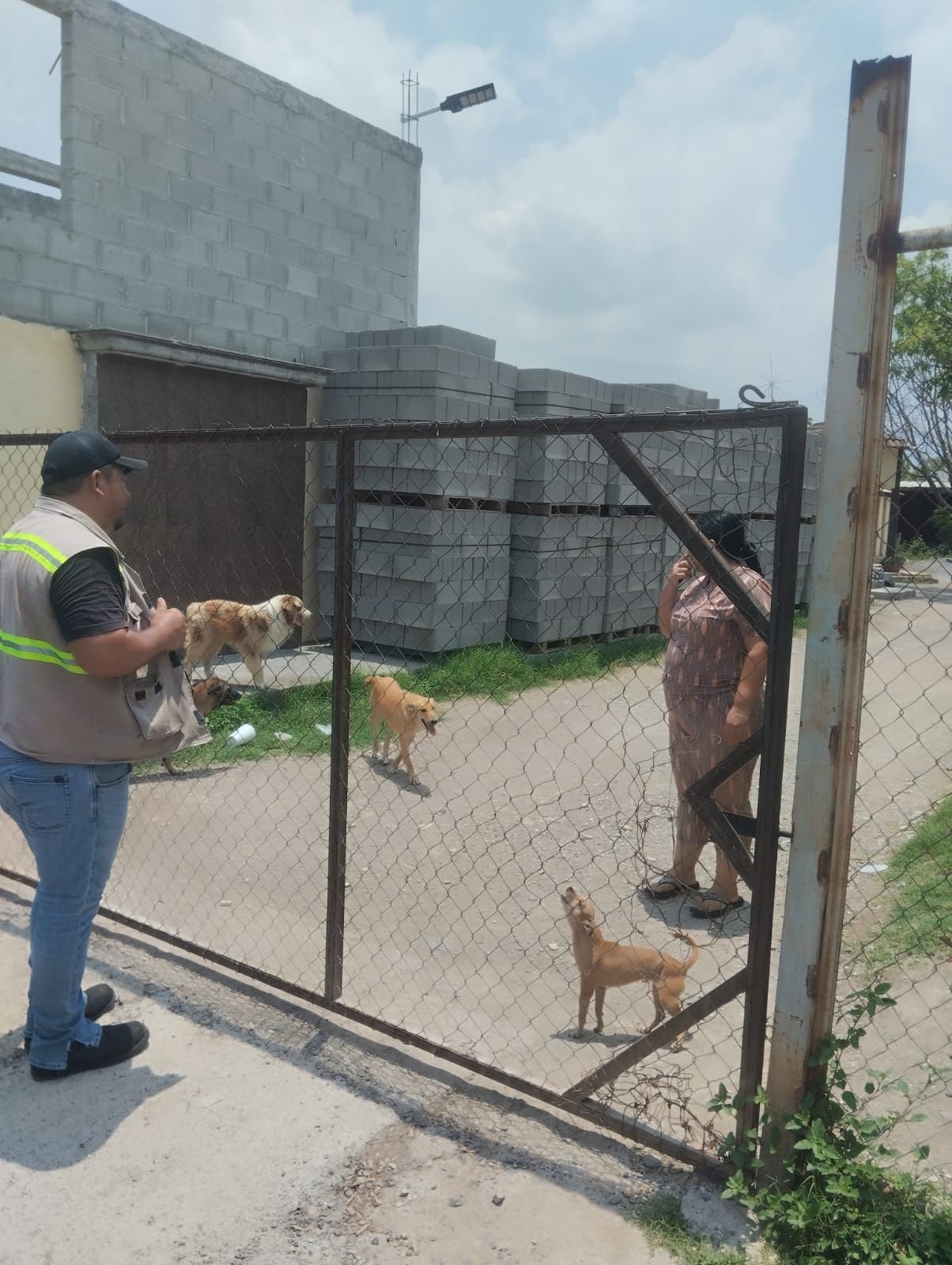 Monitorean caso de posible rickettsiosis en Múzquiz