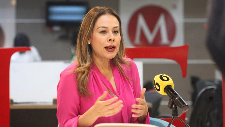 Busca PAN evitar que Tania Contreras dirija Poder Judicial; es inelegible, dice
