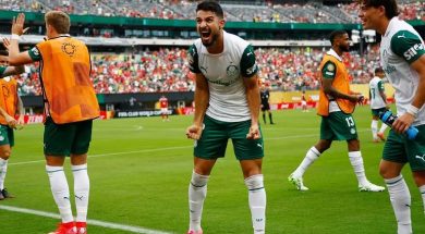 PALMEIRAS