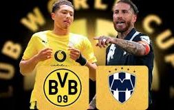 Rayados