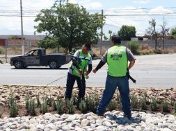 SALTILLO 31B