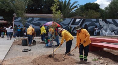 SALTILLO 3A
