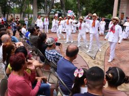 SALTILLO 50B