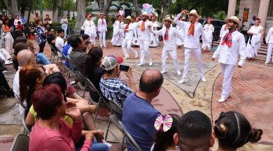 SALTILLO 50B