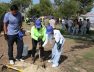 SALTILLO2
