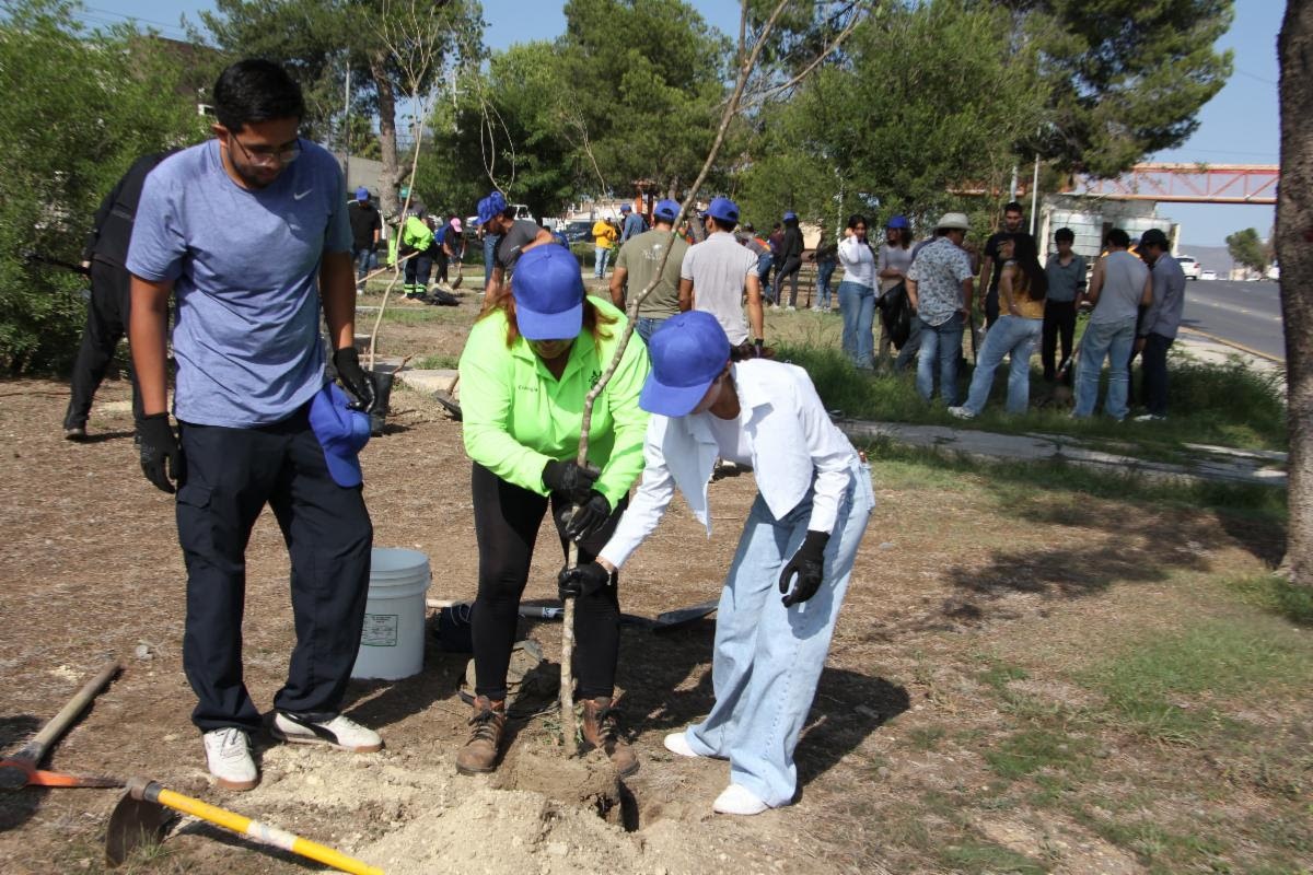 Reforestan Municipio y General Motors el Paseo de la Reforma