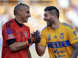 Tigres