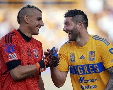 Tigres