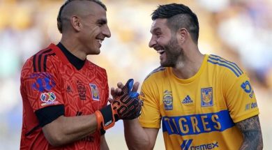 Tigres