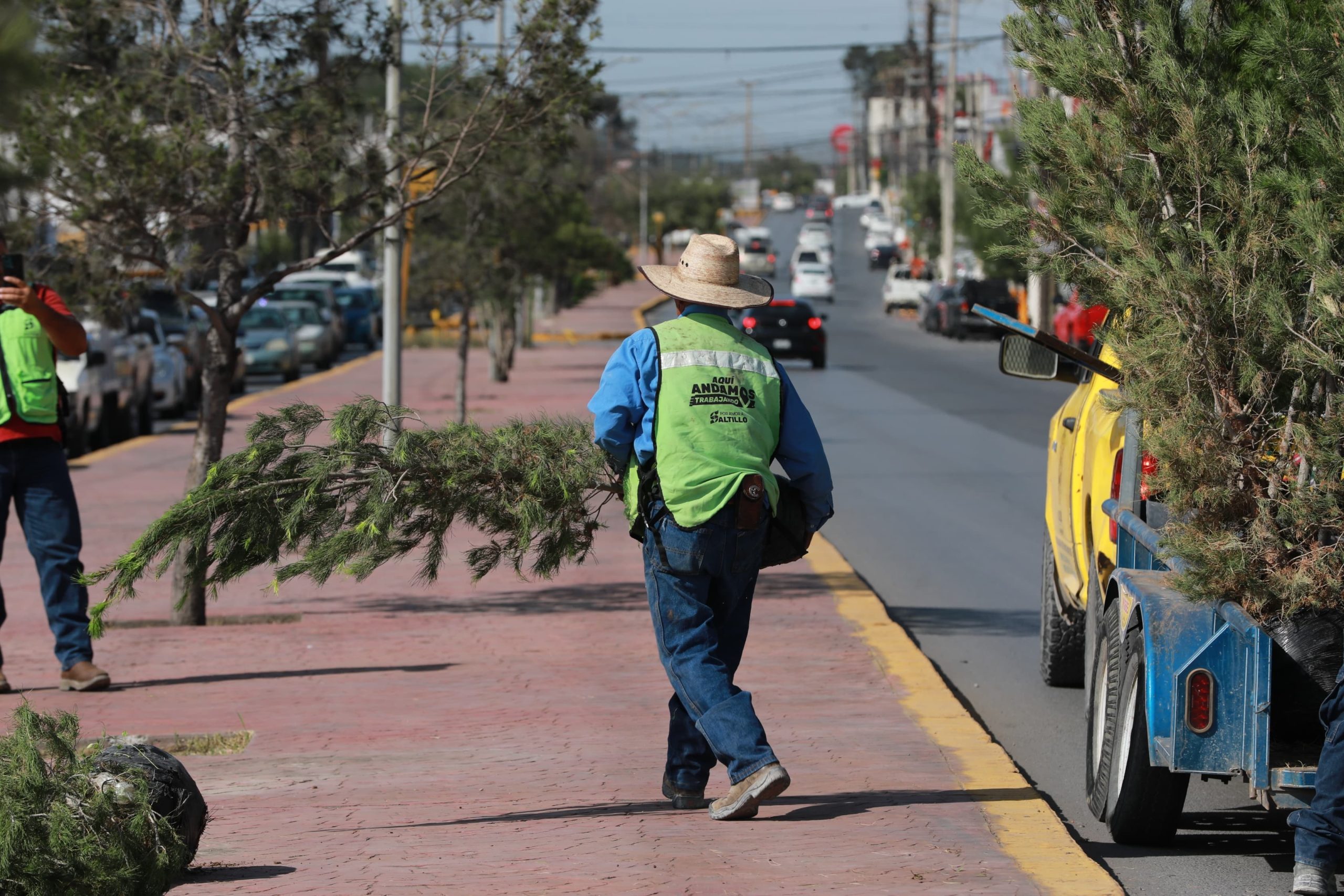 Reforesta gobierno de Saltillo bulevar Isidro López Zertuche