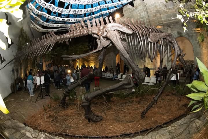 Buscan hogar para Sabinosaurio en la Región Carbonífera