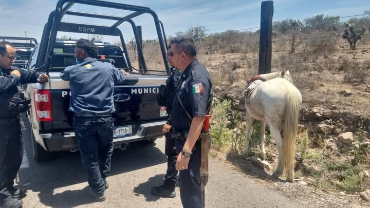 Campesinos de Sabinas piden cese a robo de ganado