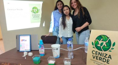 nota 25 B