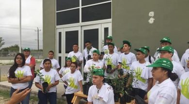 nota 4 A