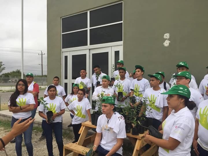 Planean campaña de reforestación de árboles en la Región Carbonífera